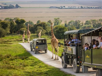 Port Lympne Reserve, Kent