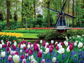 Springtime in the Garden of Holland River Cruise
