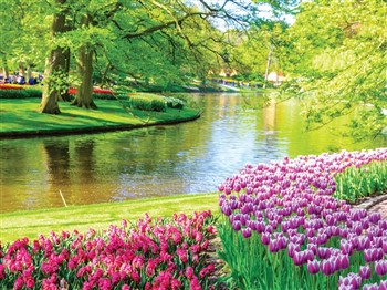 Keukenhof & Amsterdam, Holland