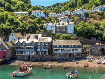 North Devon Delights