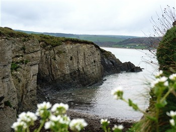 Beauty of the Pembrokeshire Coast