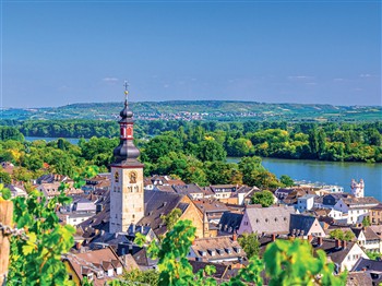 Rhine Delights River Cruise
