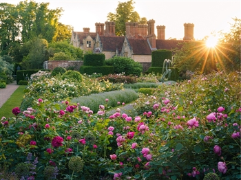 Borde Hill Gardens, 'Romance of Roses' garden tour