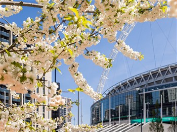 Wembley for the Day, London