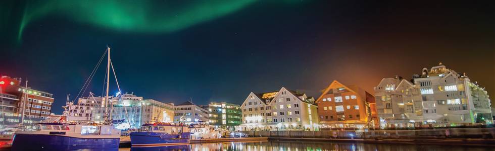 Huskies & the Northern Lights