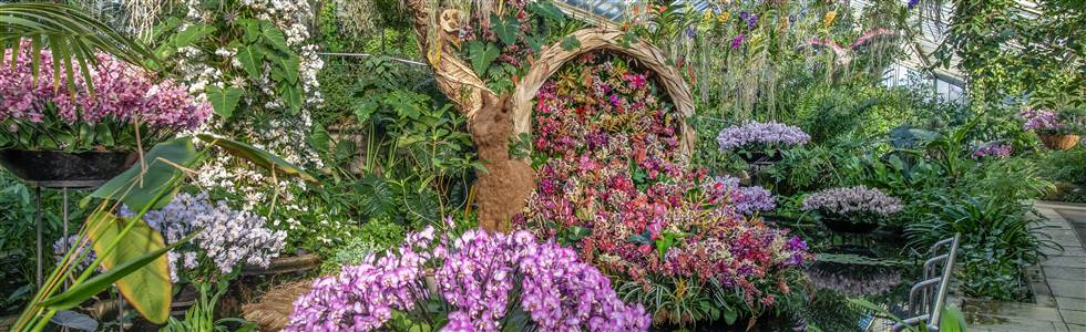Kew Gardens Orchid Festival, Richmond, London