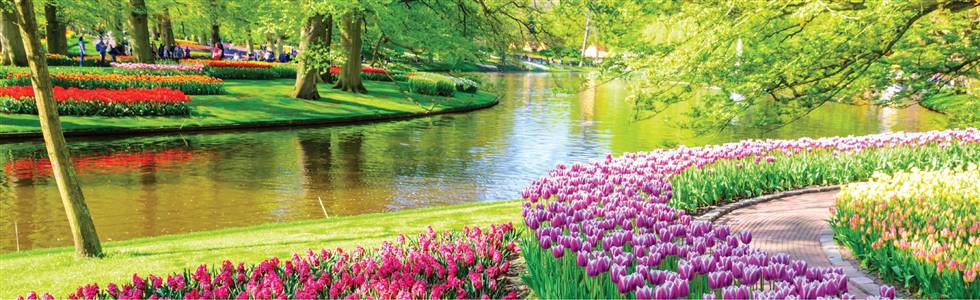 Keukenhof & Amsterdam, Holland