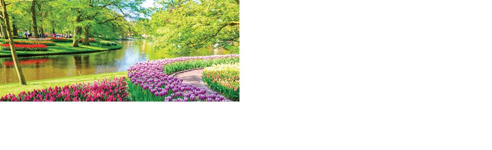 Keukenhof & Amsterdam, Holland