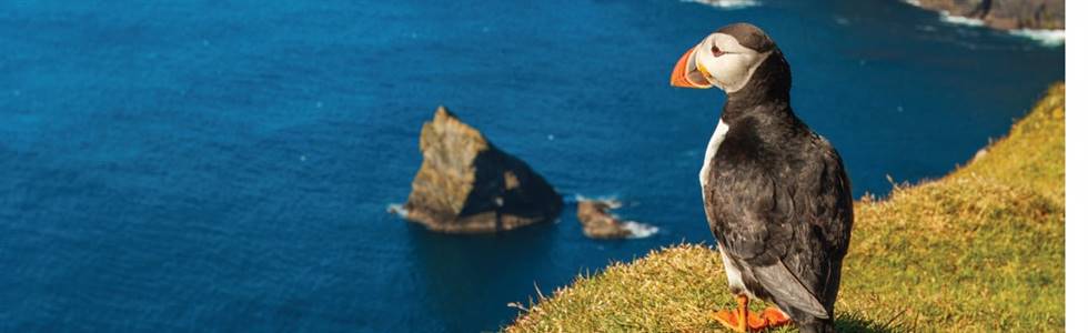 North Wales & Country