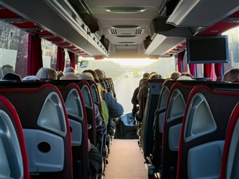 Special Offer Day Trips